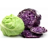 White and red cabbage