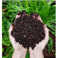 Kompostavimui ir dirvožemio gerinimui