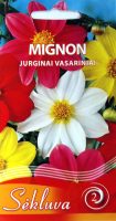 Vasariniai jurginai Mignon