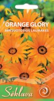 Laumakės Orange Glory