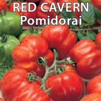 Valgomieji pomidorai Red Cavern