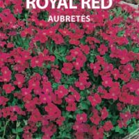 Aubrietės Royal Red