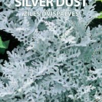 Žilės Silver Dust