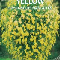 Svyrančios našlaitės Yellow