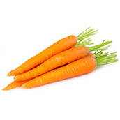 Carrot