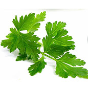 Parsley