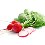 Radish