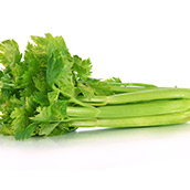 Celeriac, celery