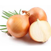 Onion