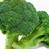 Broccoli