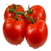 Tomato