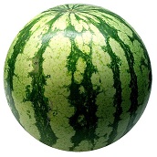 Watermelon, melon