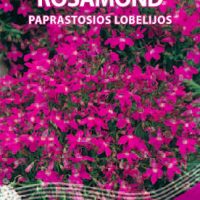 Paprastosios lobelijos Rosamond
