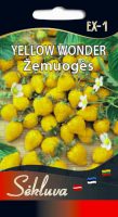 Žemuogės Yellow Wonder