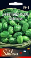 Afrikietiskieji agurkai Melotrijos