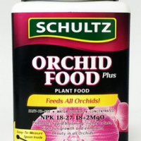 Orchid Food 1