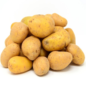 Sėklinės bulvės