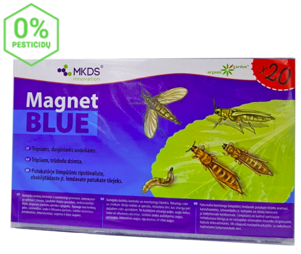 Magnet blue